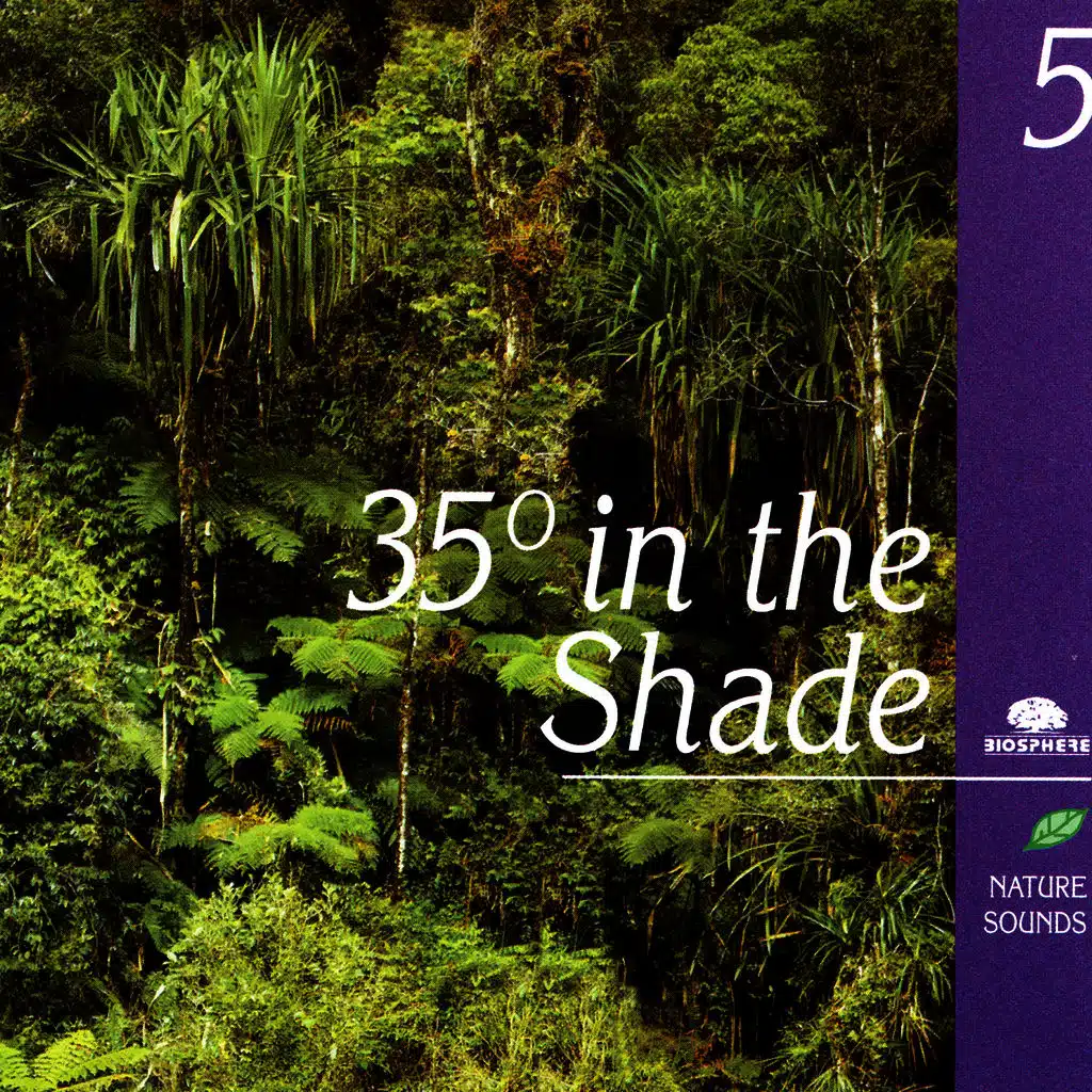 35° In The Shade (35° À L'Ombre)