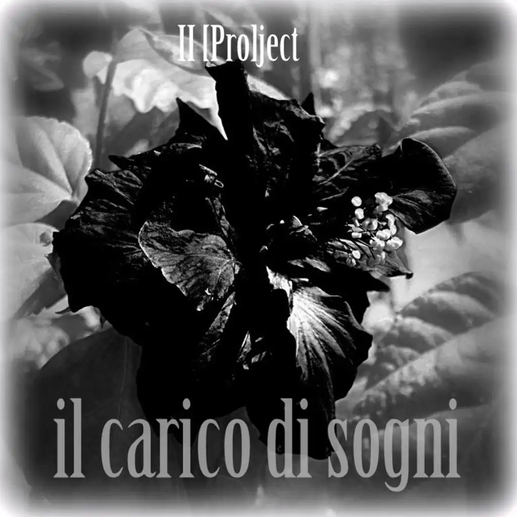 Il Carico Di Sogni