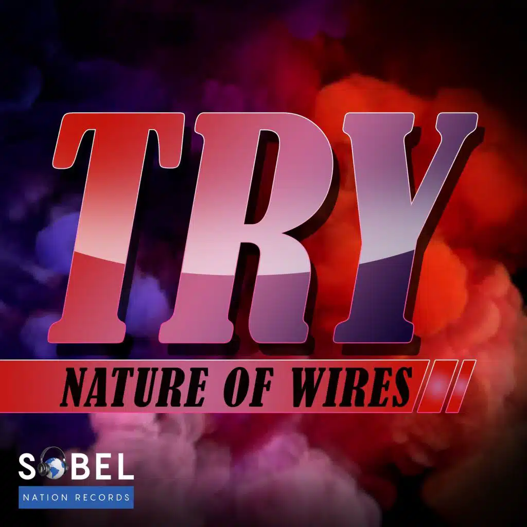 Try (Larry Peace Funky House Extended Mix)