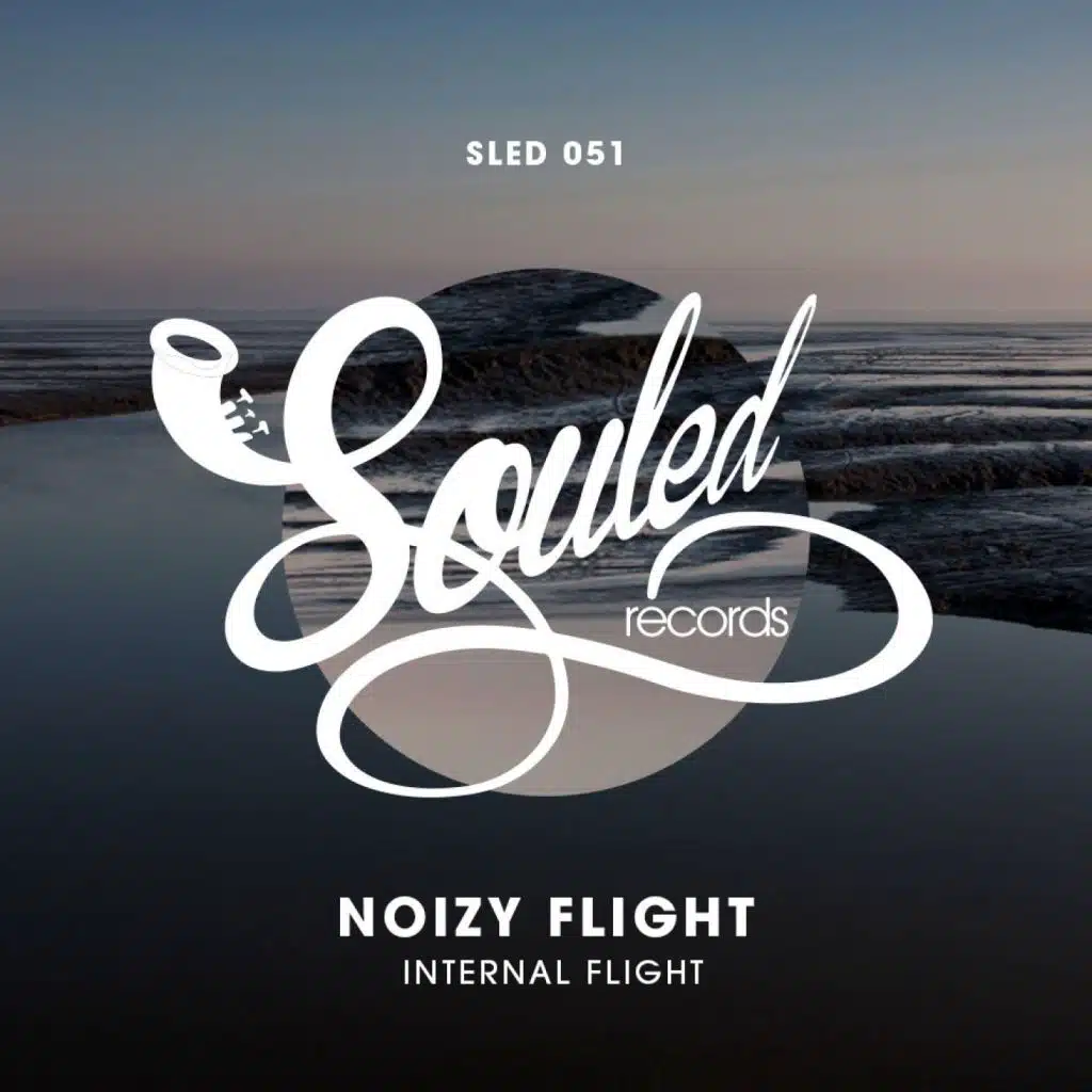 Noizy Flight