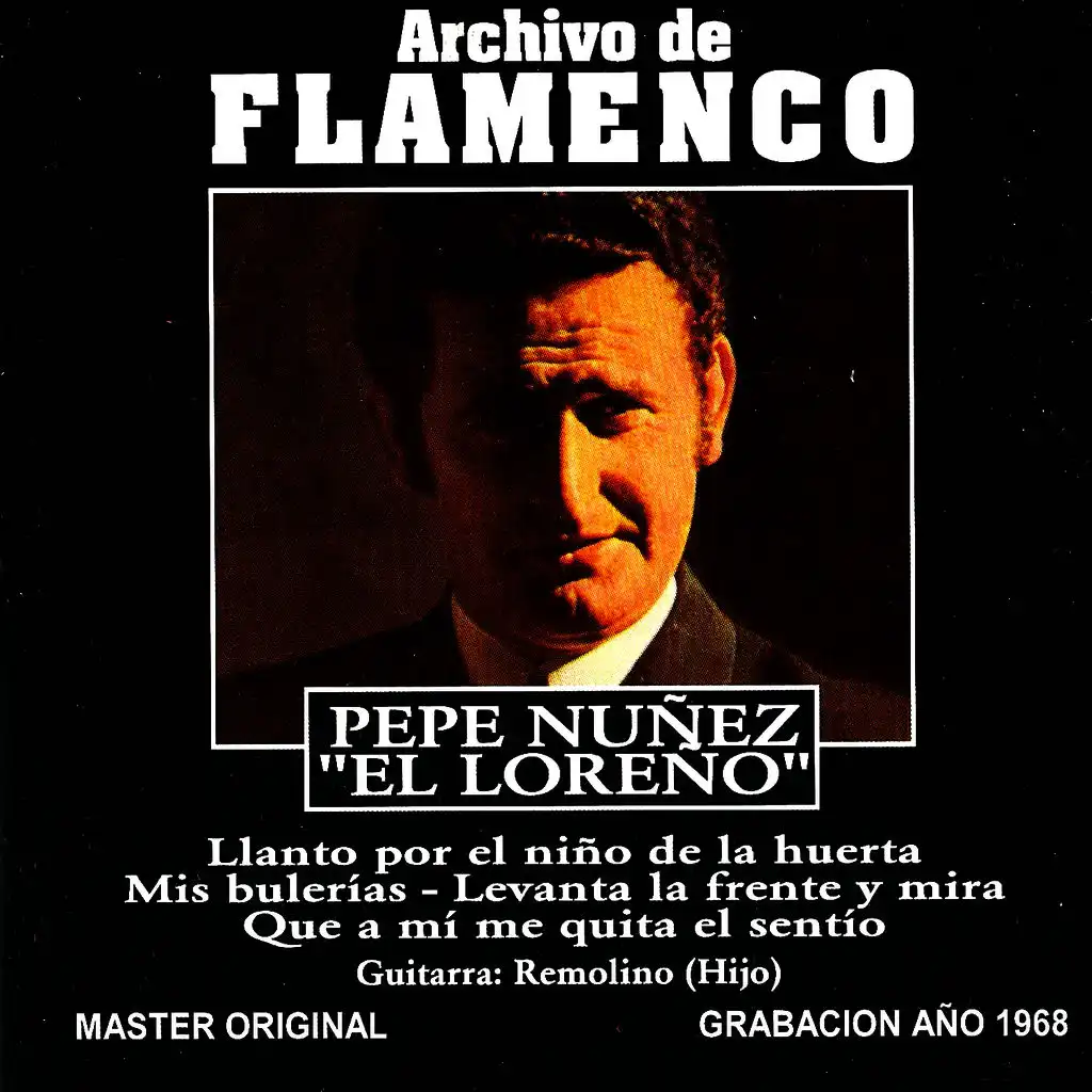 Archivo de Flamenco, Vol. 19