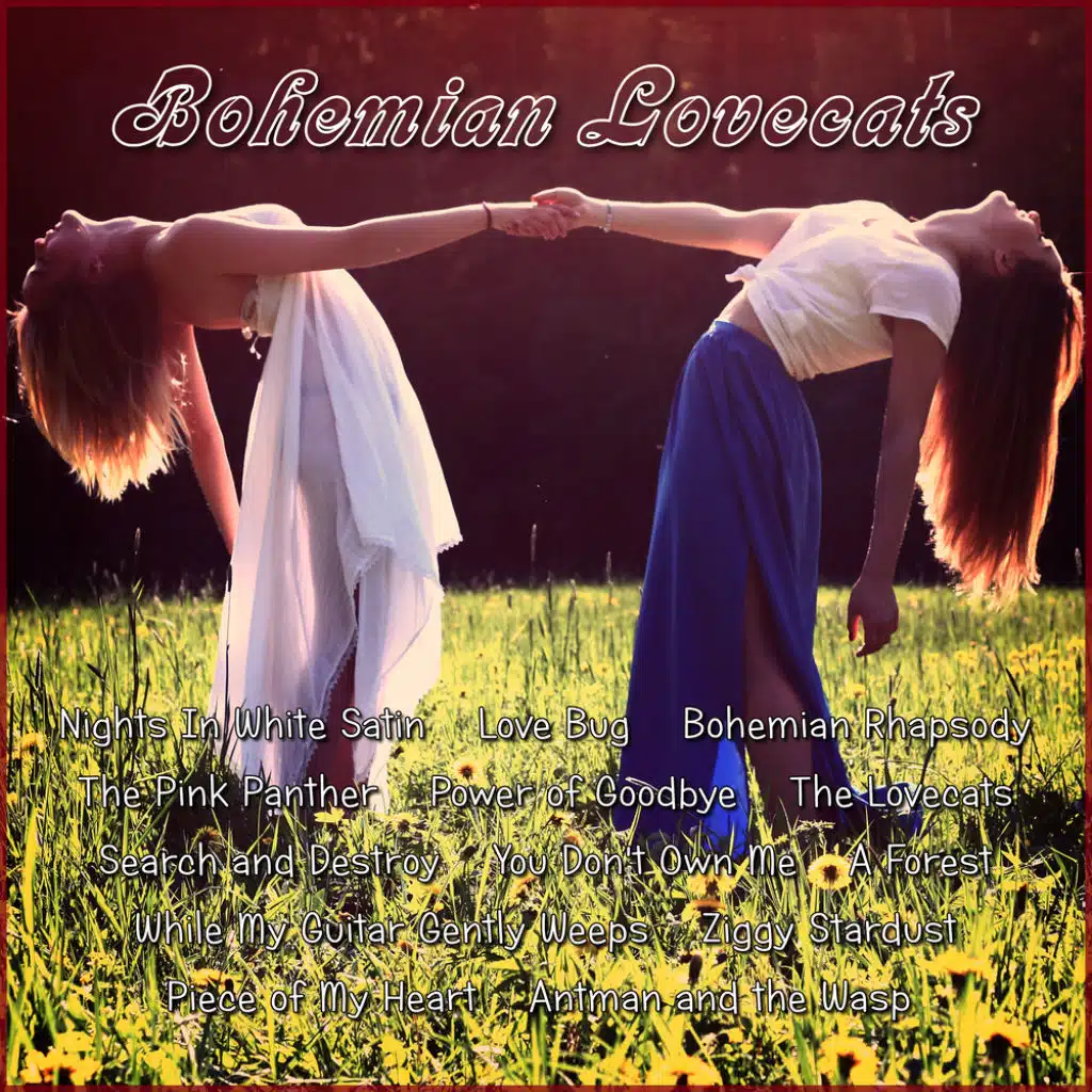 You Don't Own Me (Suicide Squad)