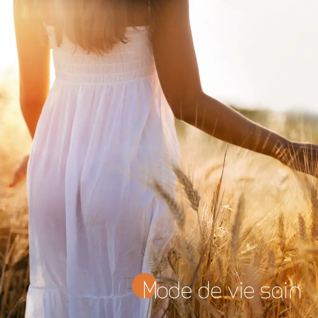 Mode de vie sain - Chakra Guérison Relaxant Méditation Musique pour un Spa Zen Paisible Cycles de sommeil Centre énergétique