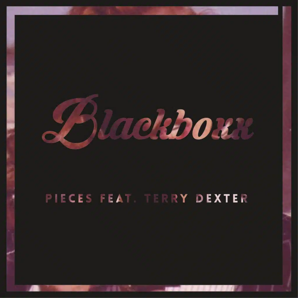 Pieces (feat. Terry Dexter)
