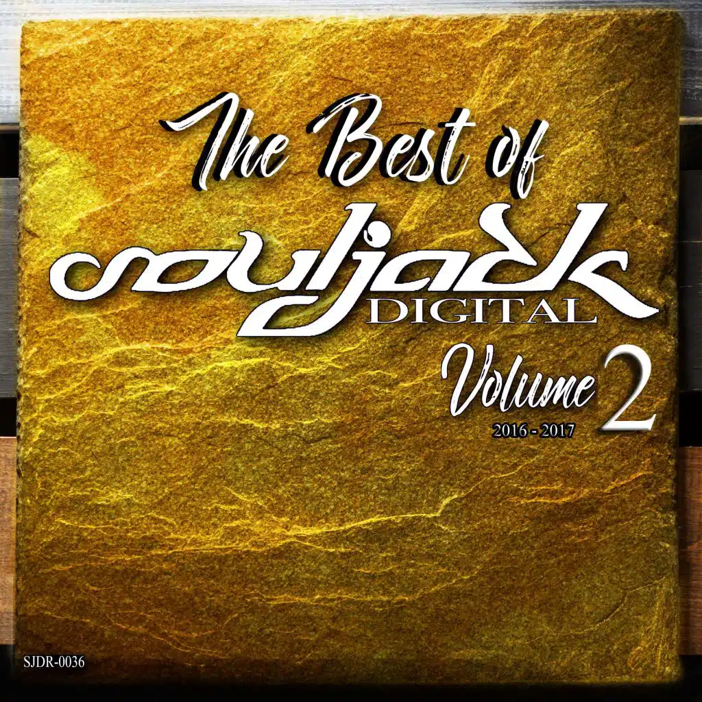 The Best of SoulJack Digital, Vol. 2