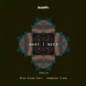 What I Need (Radio Cut) [feat. Jermaine Fleur]