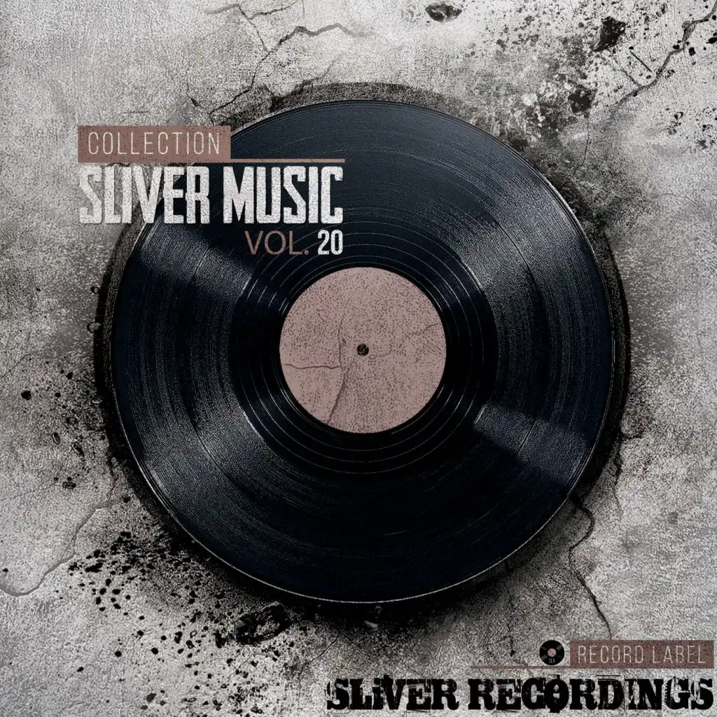 SLiVER Music Collection, Vol.20
