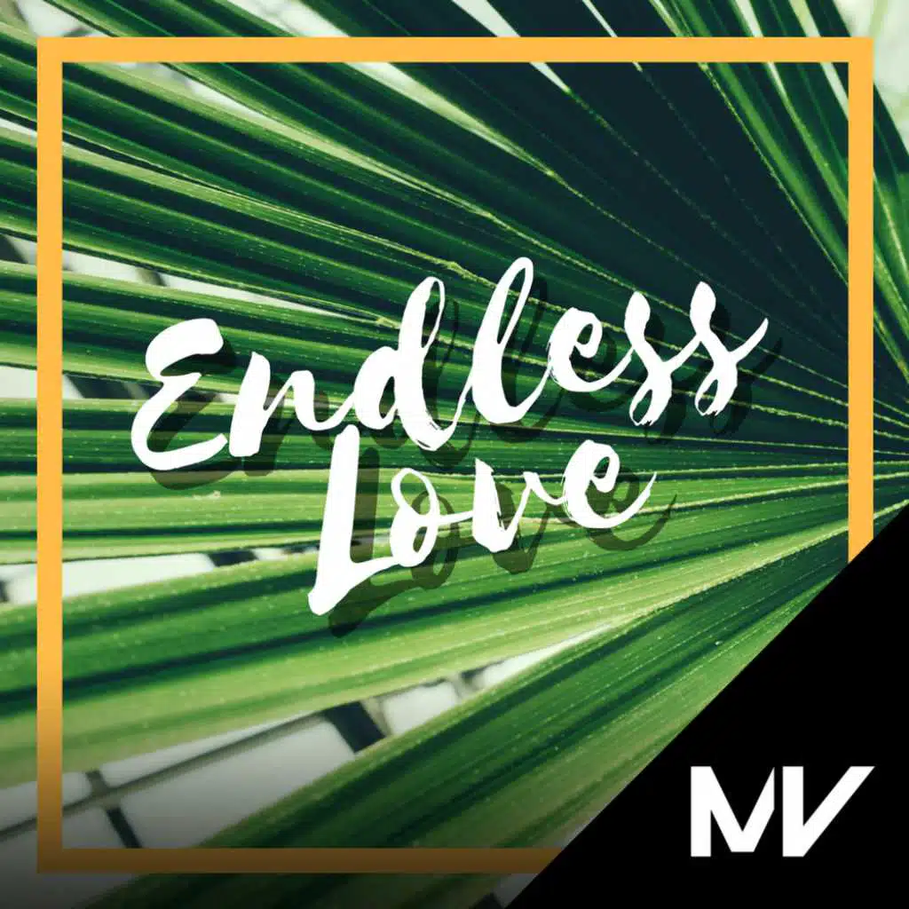 Endless Love