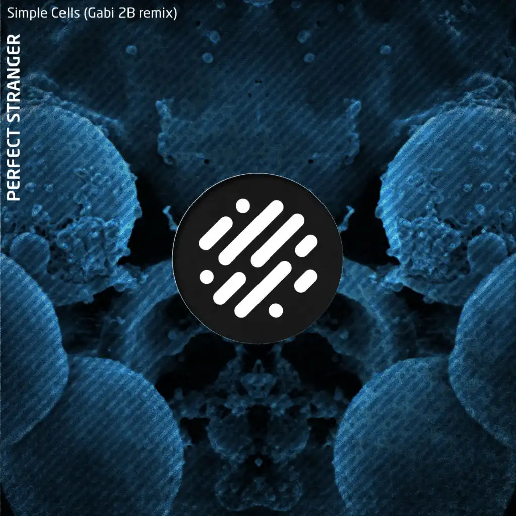 Simple Cells (feat. Gabi 2B)