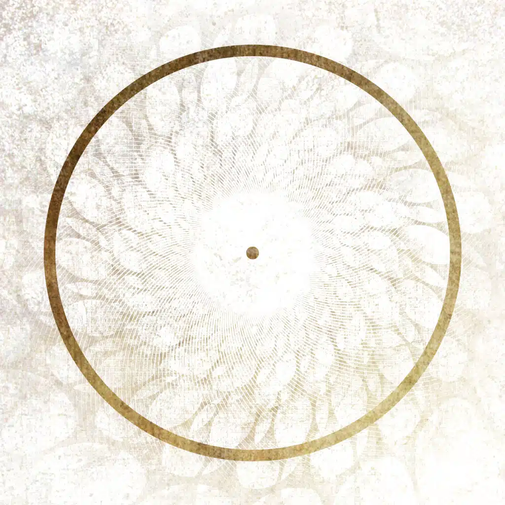 NOUS & Christopher Bono