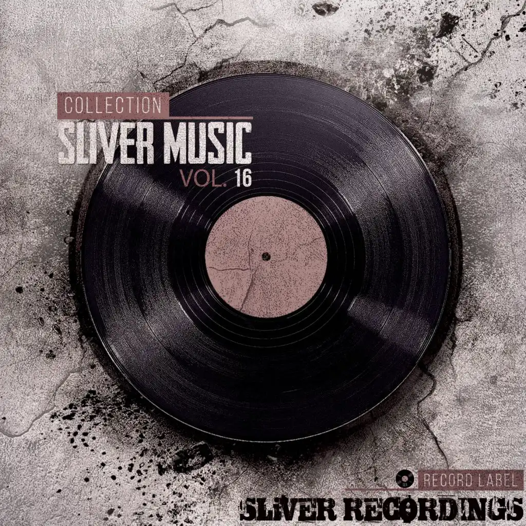 SLiVER Music Collection, Vol.16