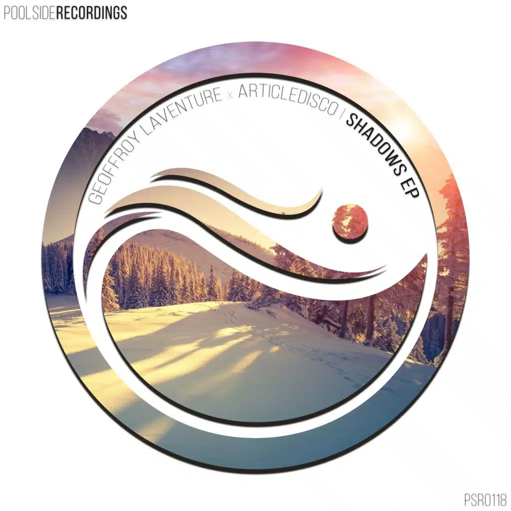 Geoffroy Laventure, Articledisco