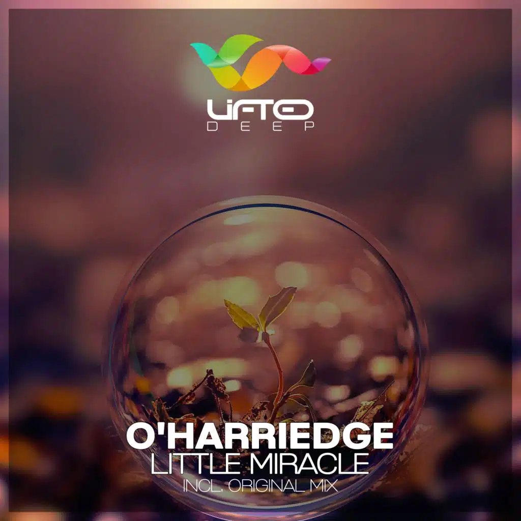 Little Miracle (Radio Edit)