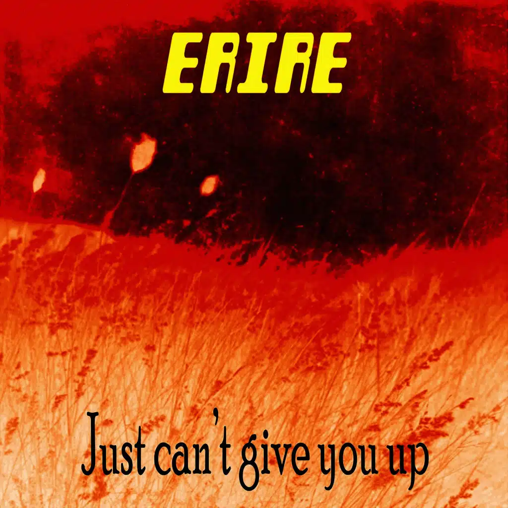 Just Can't Give You Up - EP
