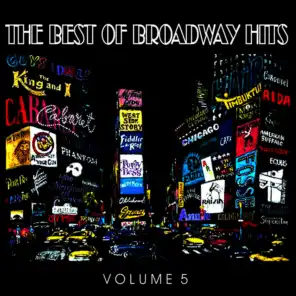 The Best of Broadway Hits, Volume 5