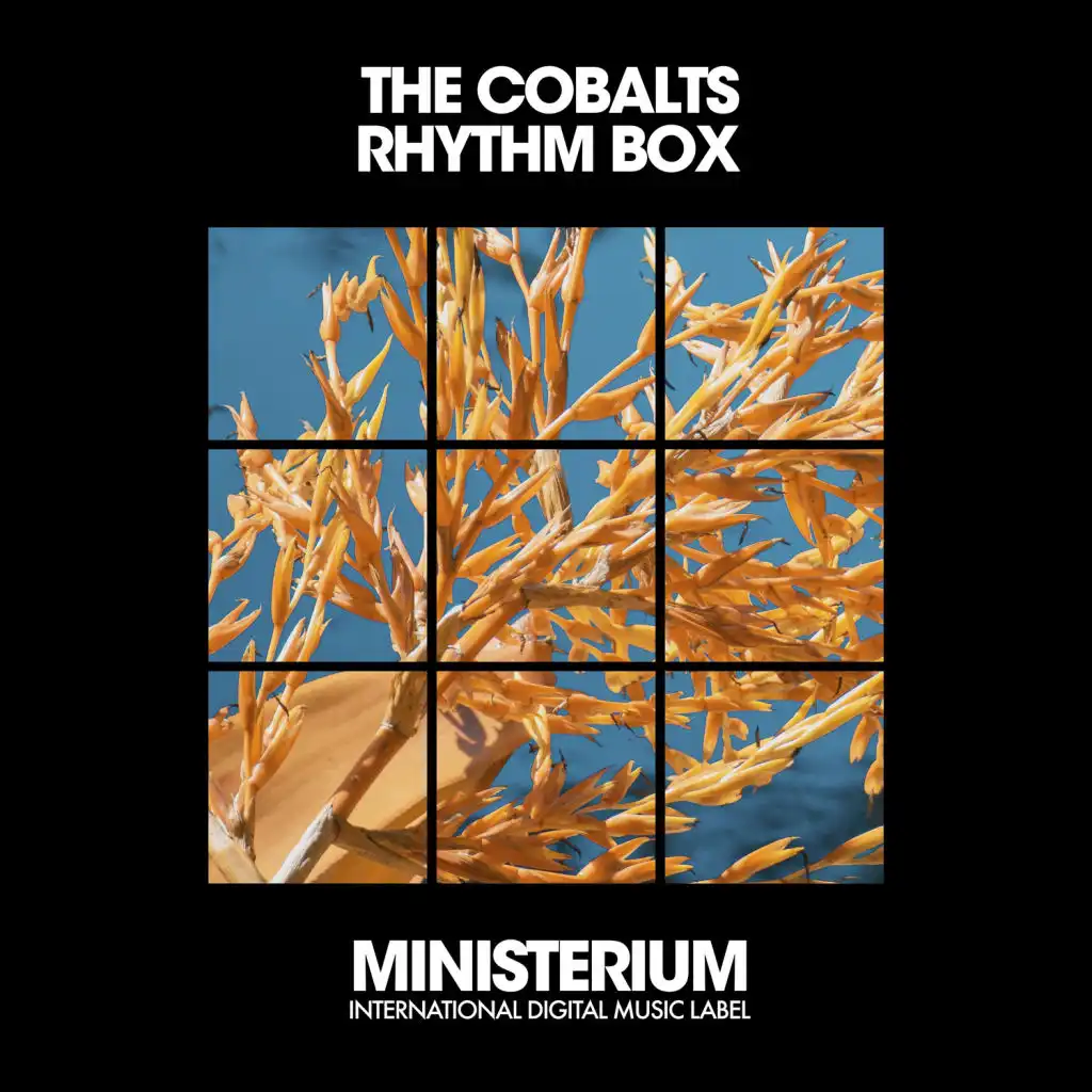 Rhythm Box (Club Mix)