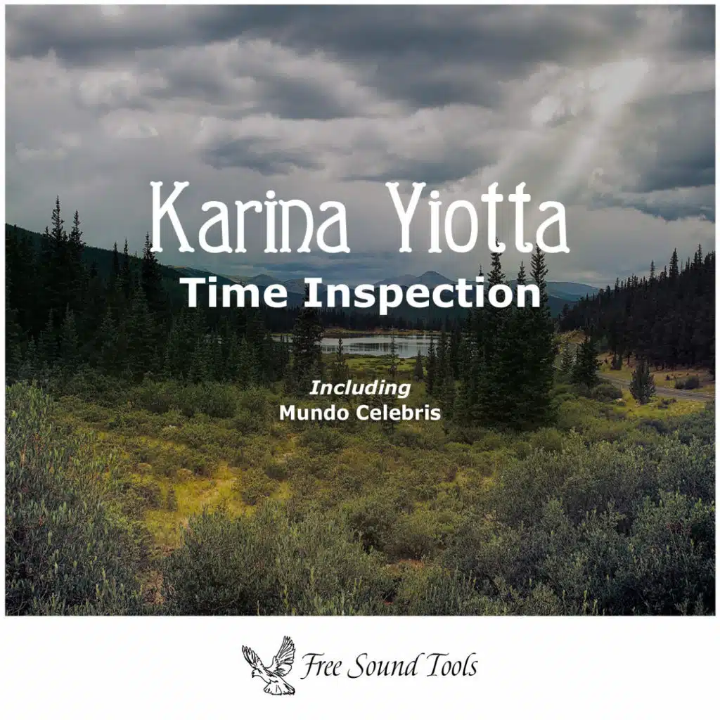 Night Inspection (Karina Yiotta Remix)