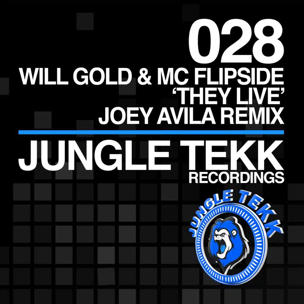 Will Gold, MC Flipside