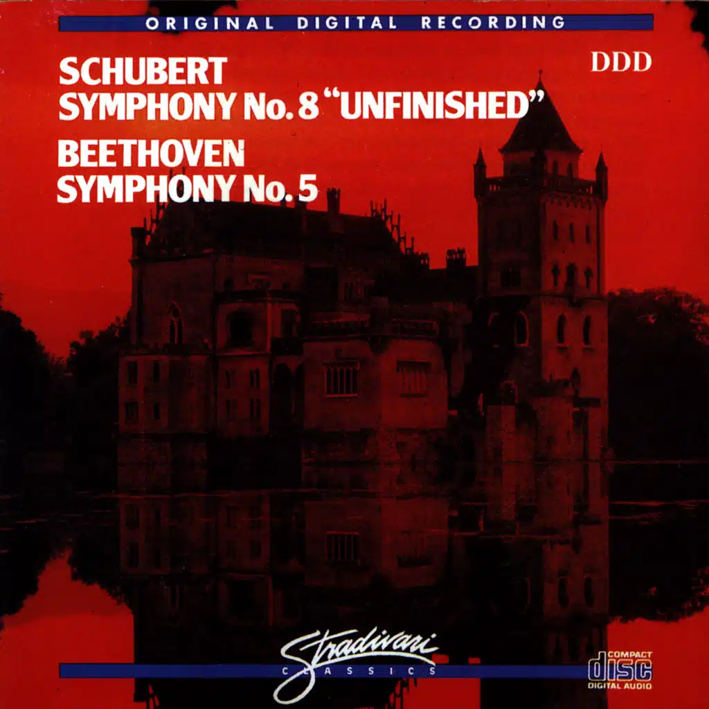 Symphony No. 40 In G Minor, K. 550: I. Molto Allegro