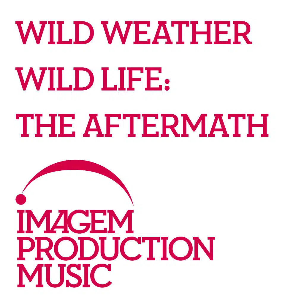 Wild Weather Wild Life  - The Aftermath