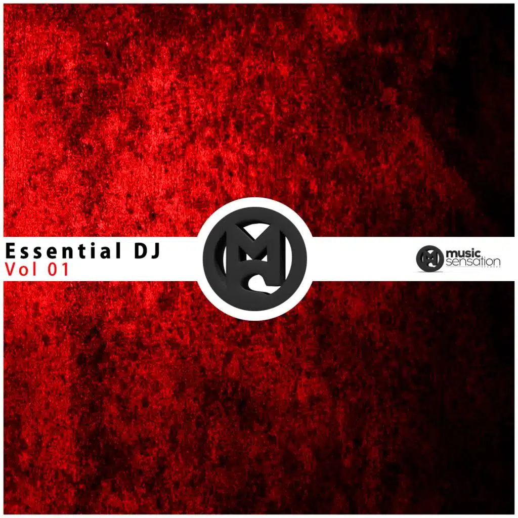 Essential DJ, Vol. 01