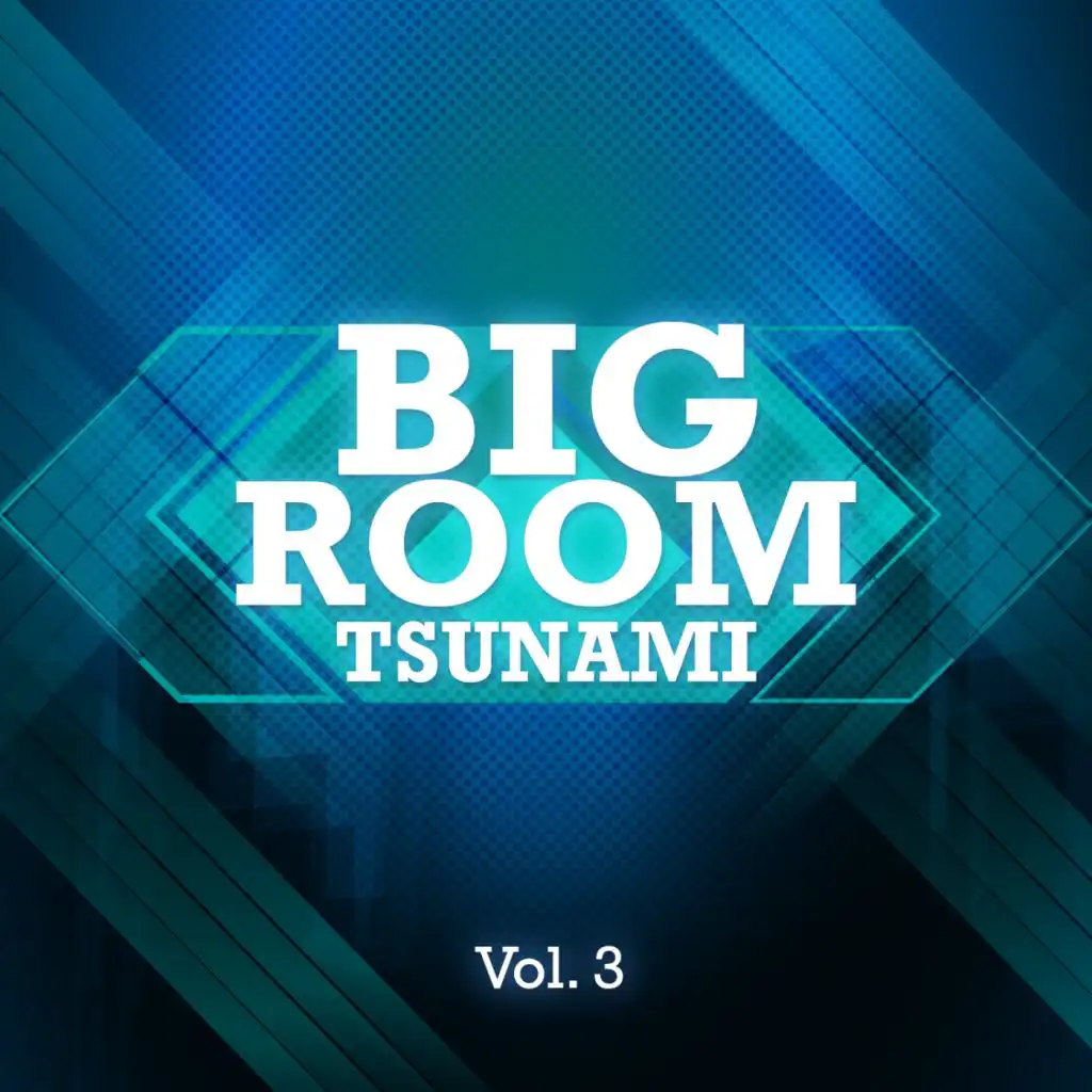 Bigroom Tsunami, Vol. 3