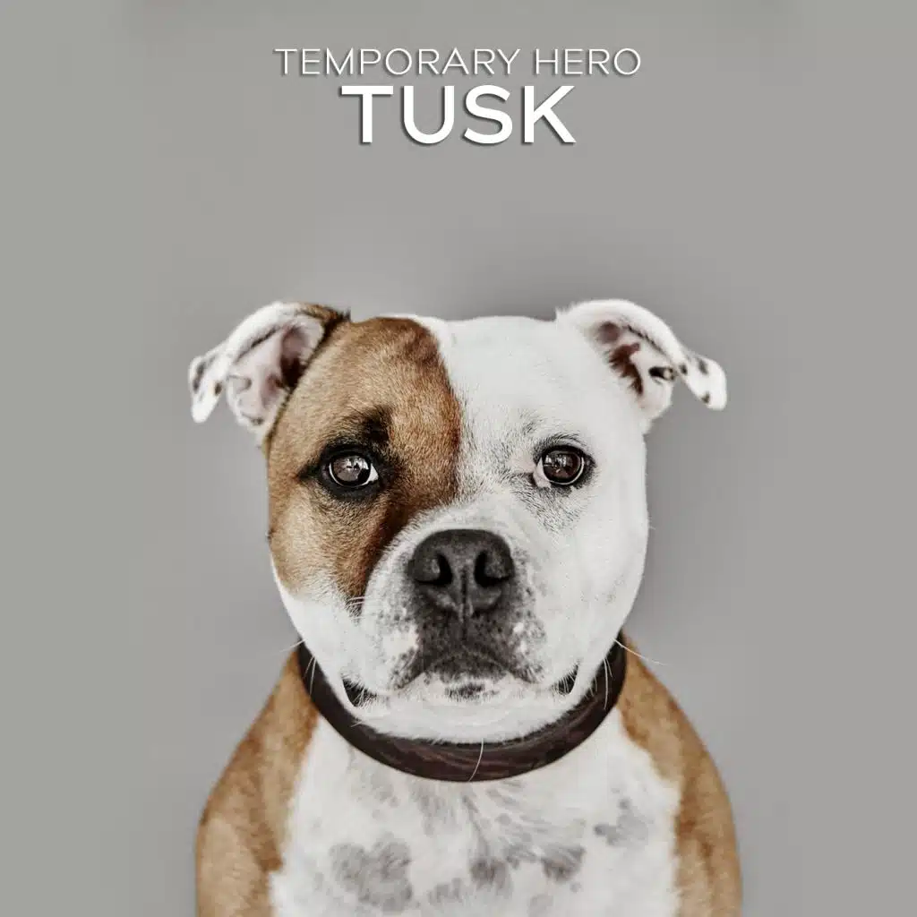 TUSK