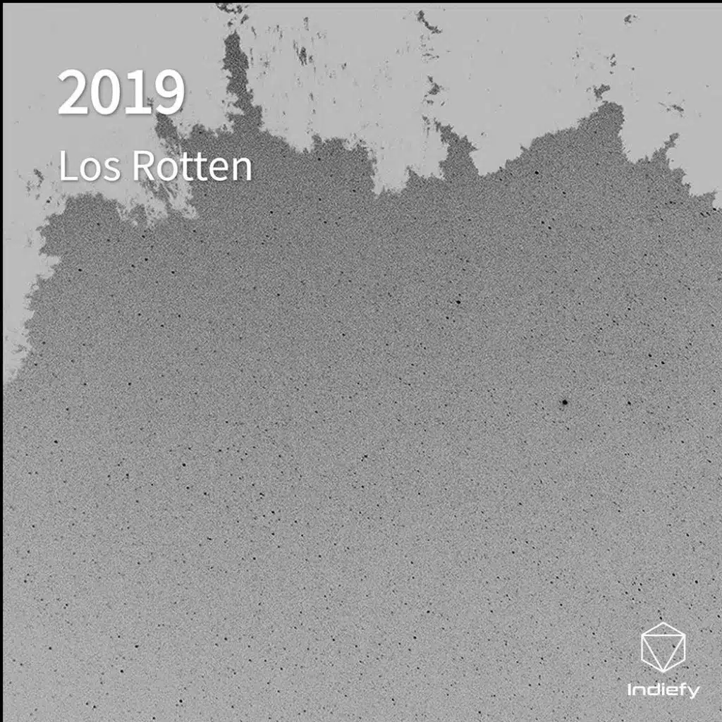2019