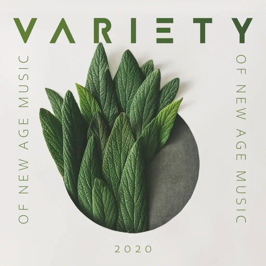 Soft Music (Serenity Spa)