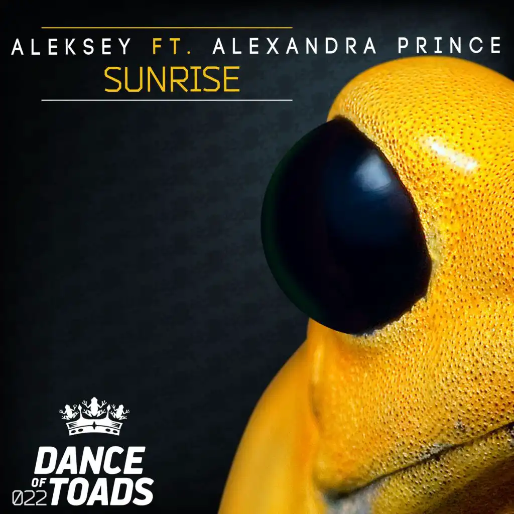 Sunrise (Radio Edit) [feat. Alexandra Prince]