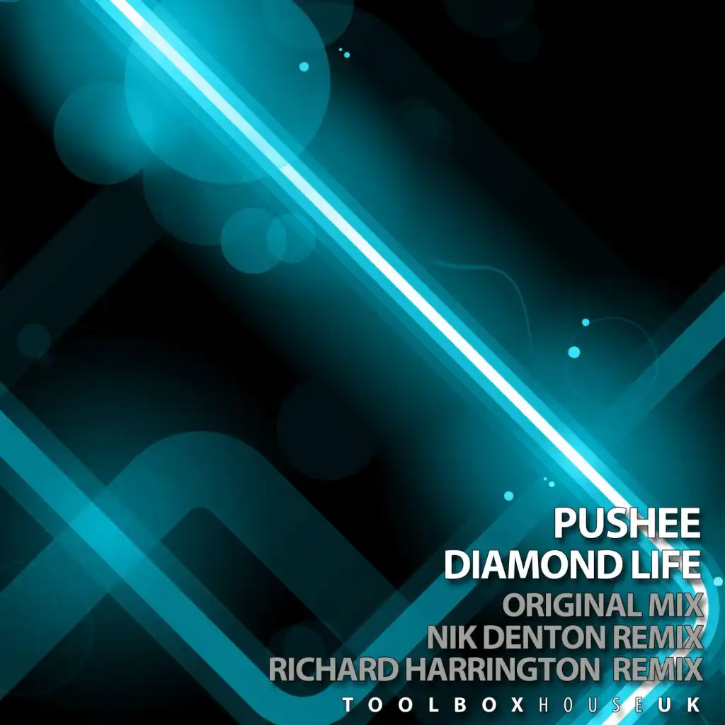 Diamond Life (Richard Harrington Remix)