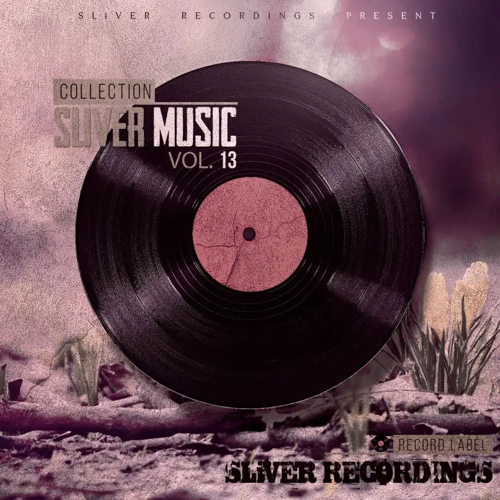 Sliver Music Collection, Vol.13