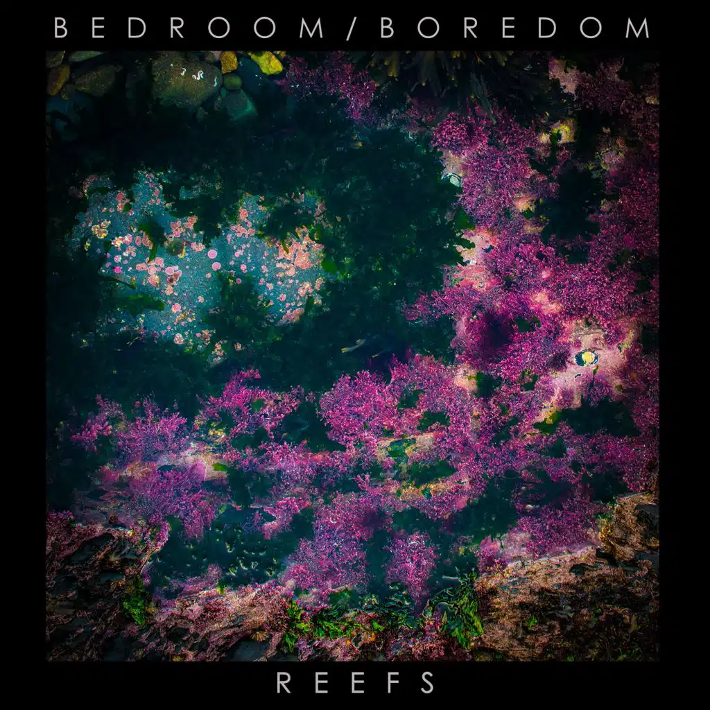 Reefs
