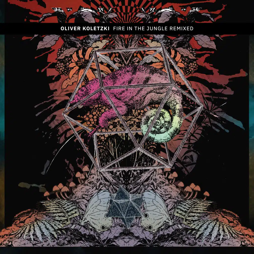 Rainbow Serpent (Iorie Remix)