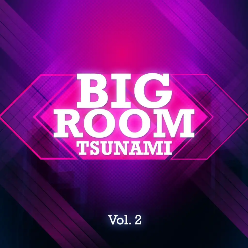 Bigroom Tsunami, Vol. 2