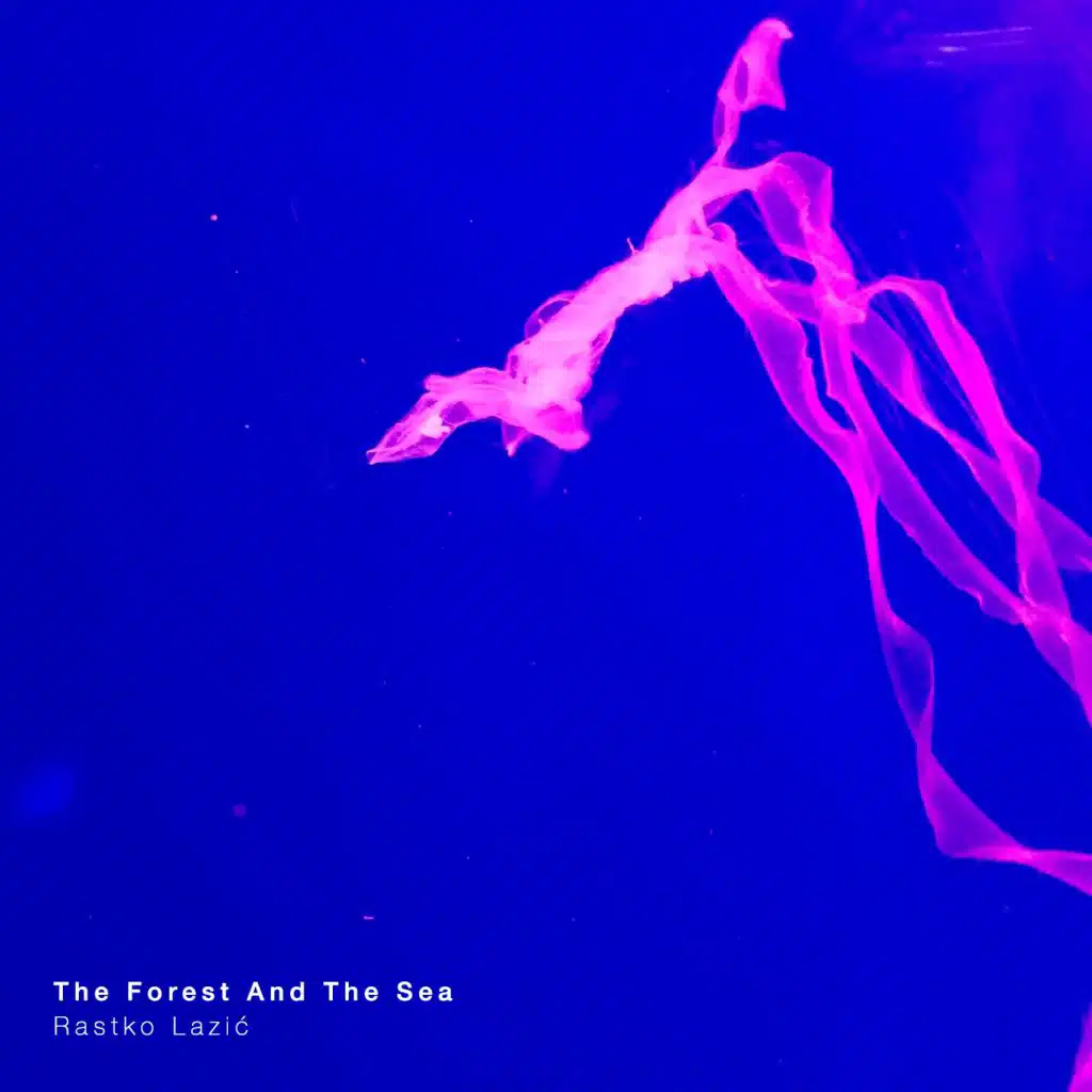 The Forest and the Sea