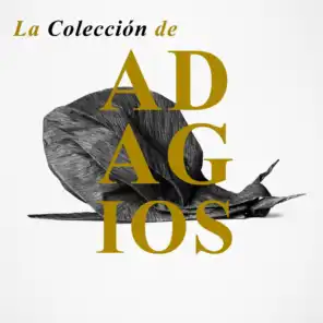 La Colección de Adagios