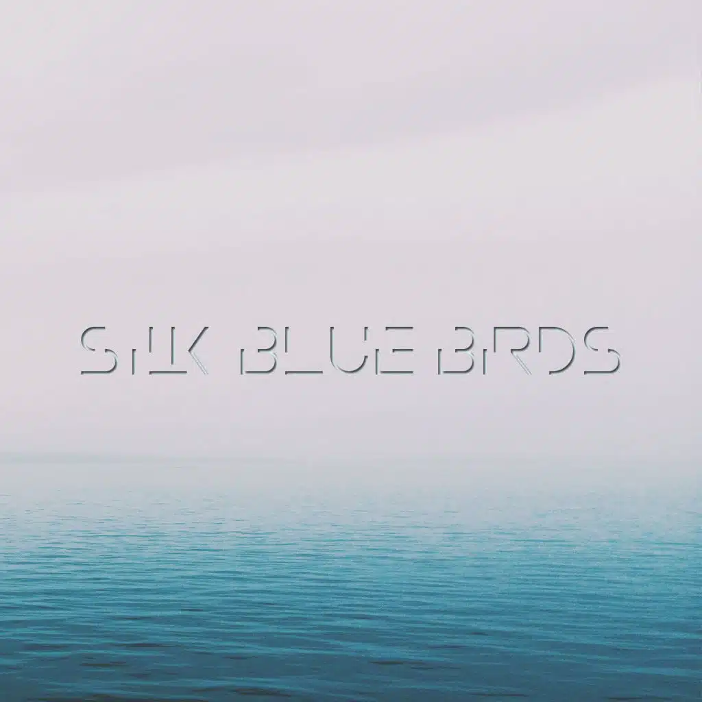 Silk Blue Birds (feat. Myra Washington)