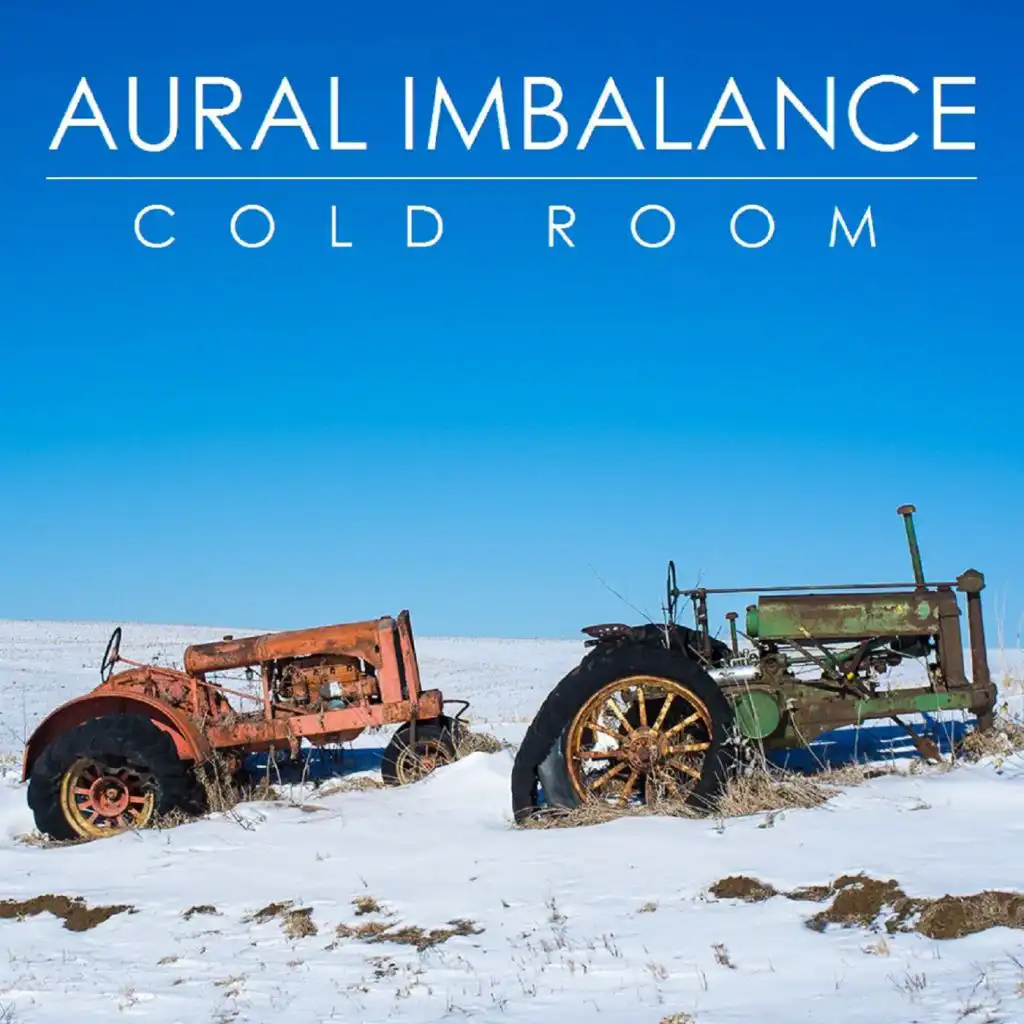 Cold Room (Emi Murai's Ambient Trip)