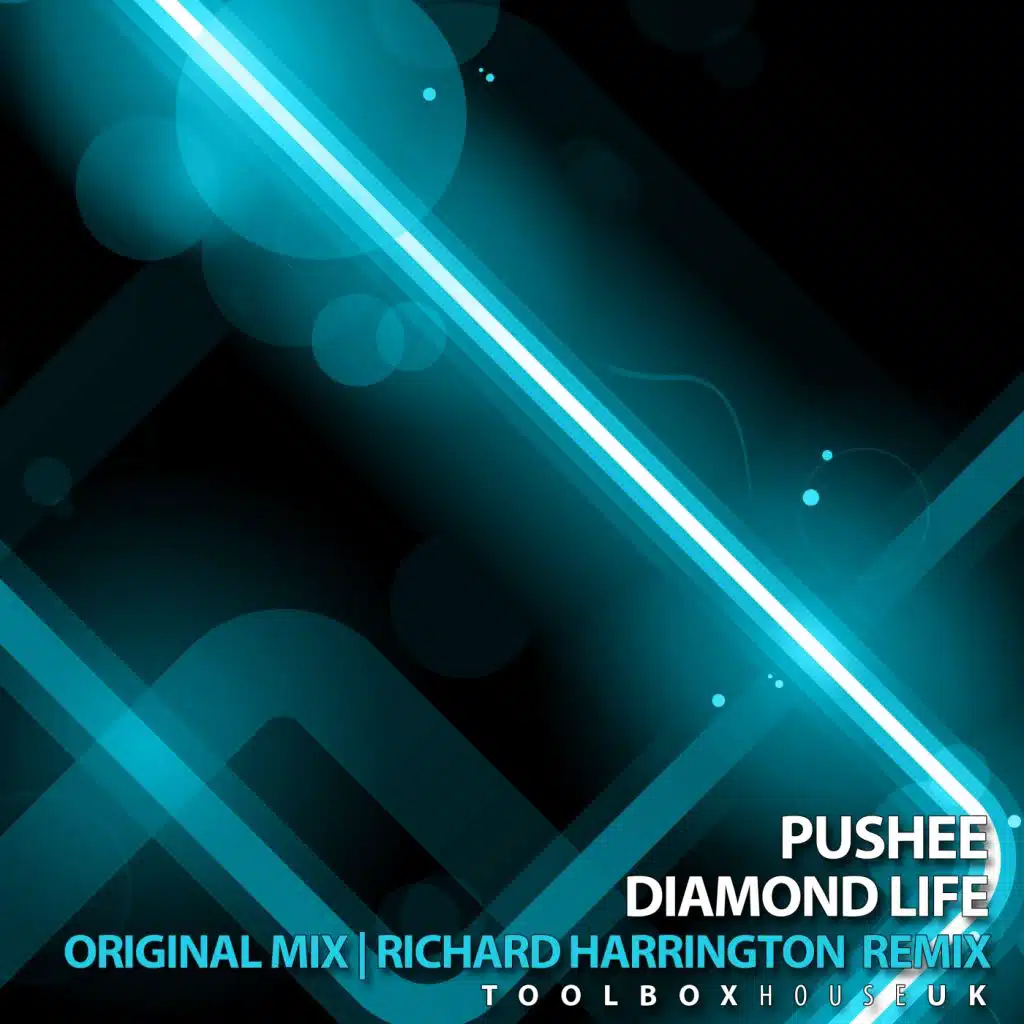 Diamond Life (Original Mix)