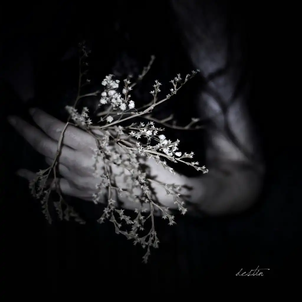 Nothing but a Name (feat. Mihai Ilie)