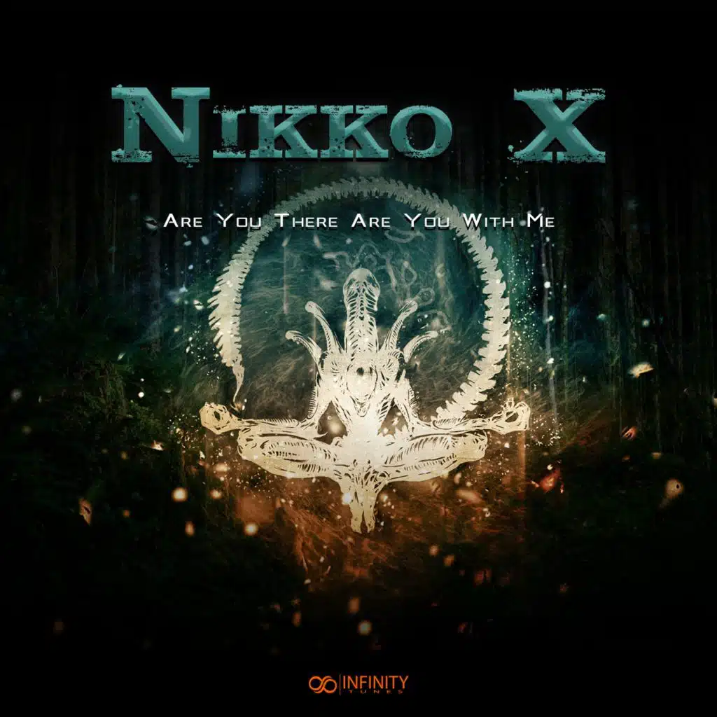 Nikko X