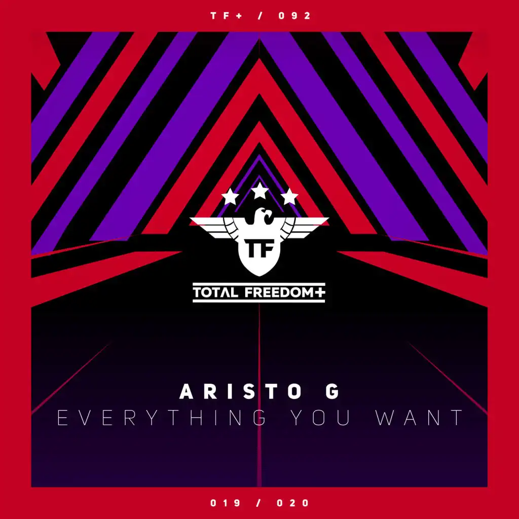 Everything You Want (Extended Mix)