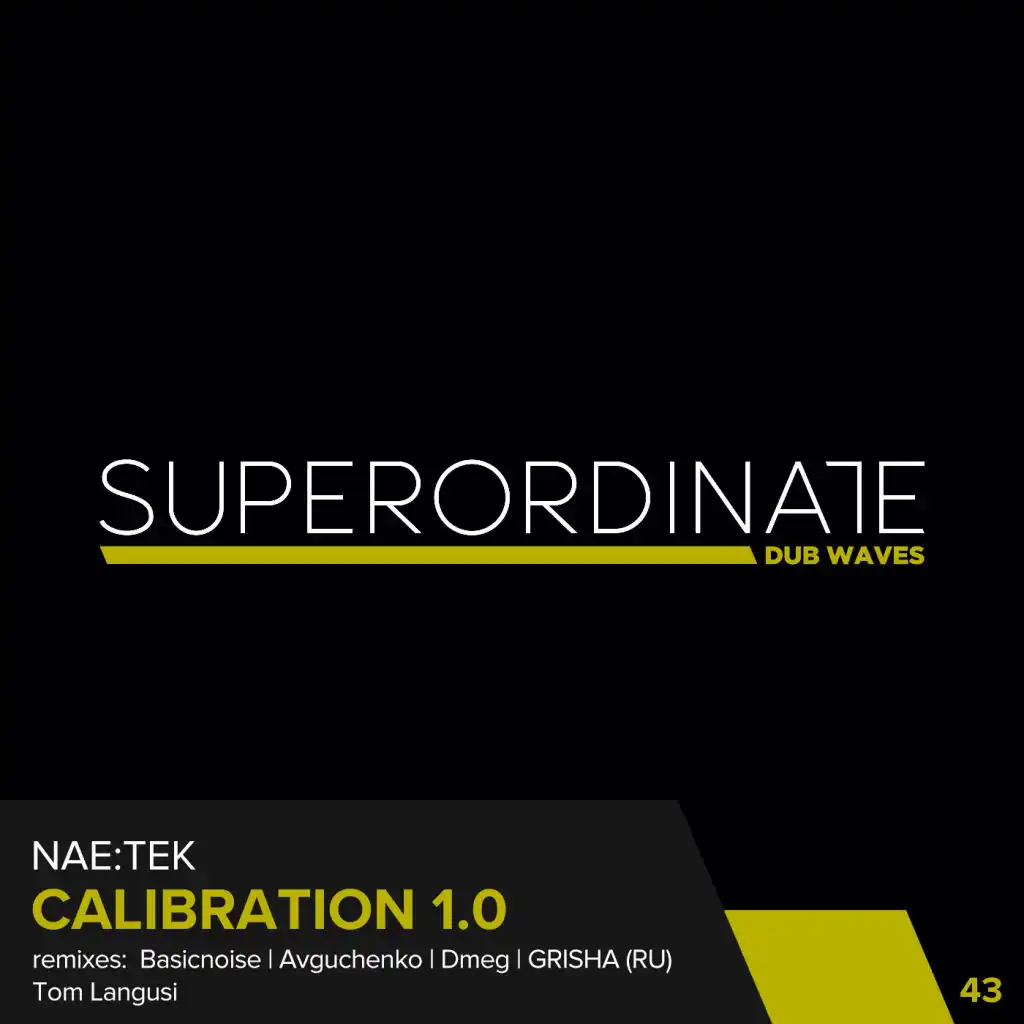 Calibration1.0 (Grisha RU Rmx)