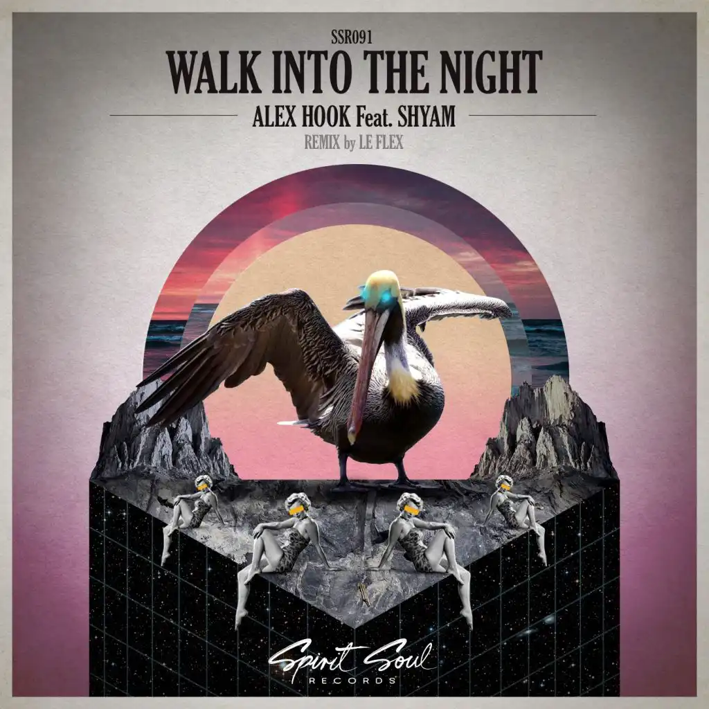 Walk Into The Night (Le Flex Remix) [feat. Shyam P]