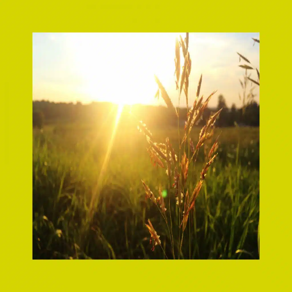 One More Day (Manager Remix)