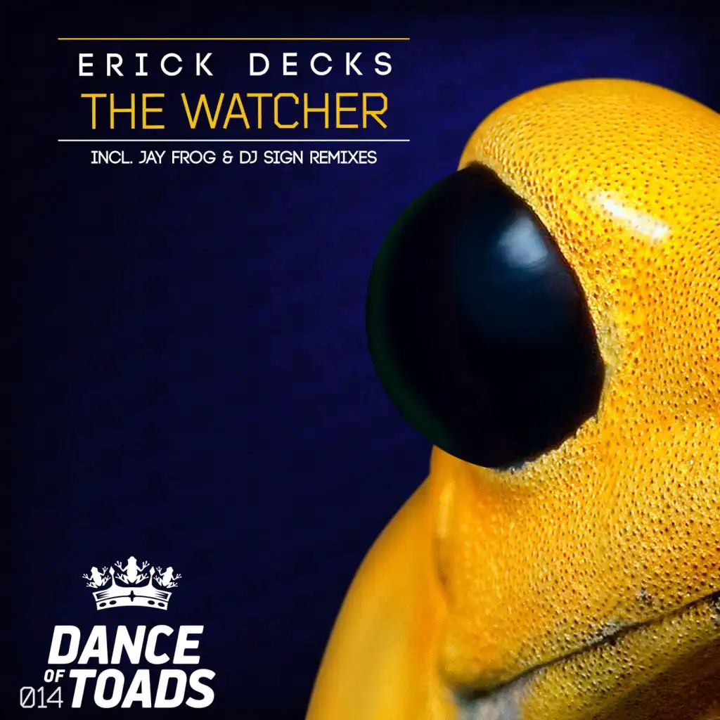 The Watcher (Jay Frog Remix)
