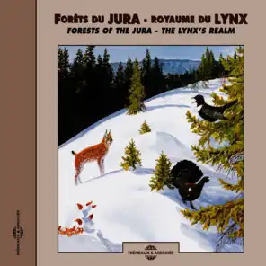 Forêts Du Jura - Royaume Du Lynx