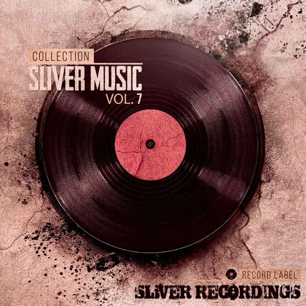 Sliver Music Collection, Vol.7