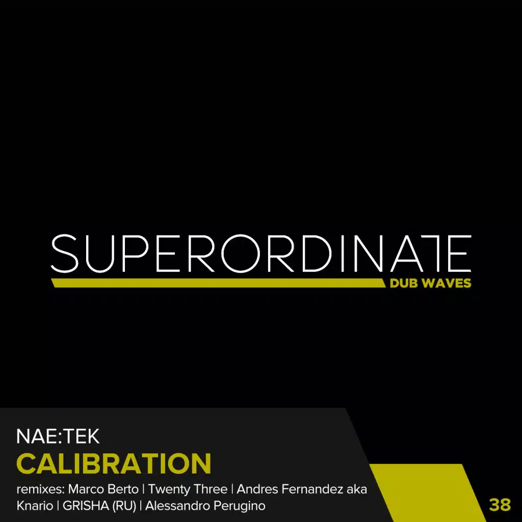 Calibration (Grisha (RU) Rmx)
